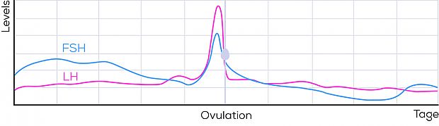 OT 80 Ovulationskurve