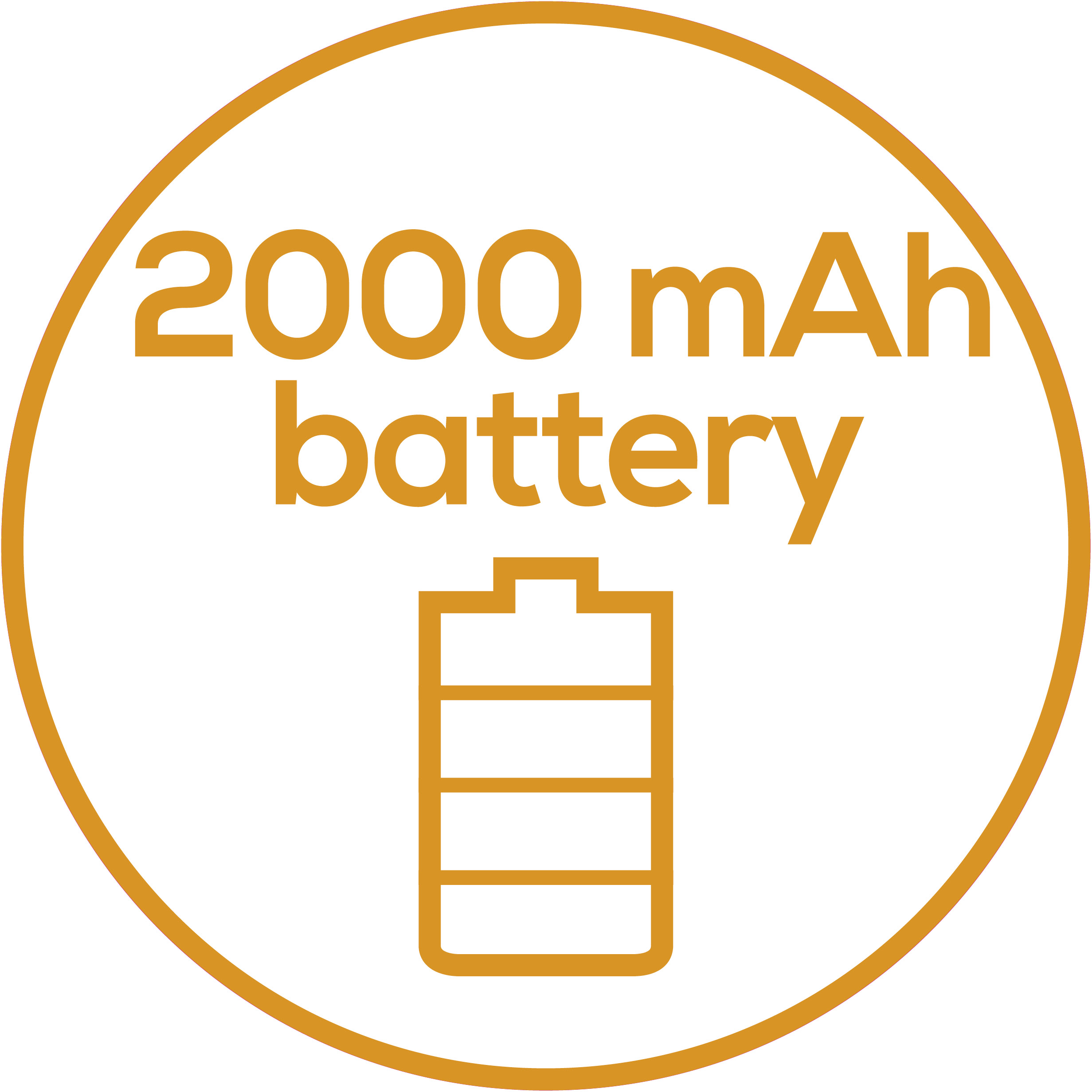 2000mAh mains adapter 