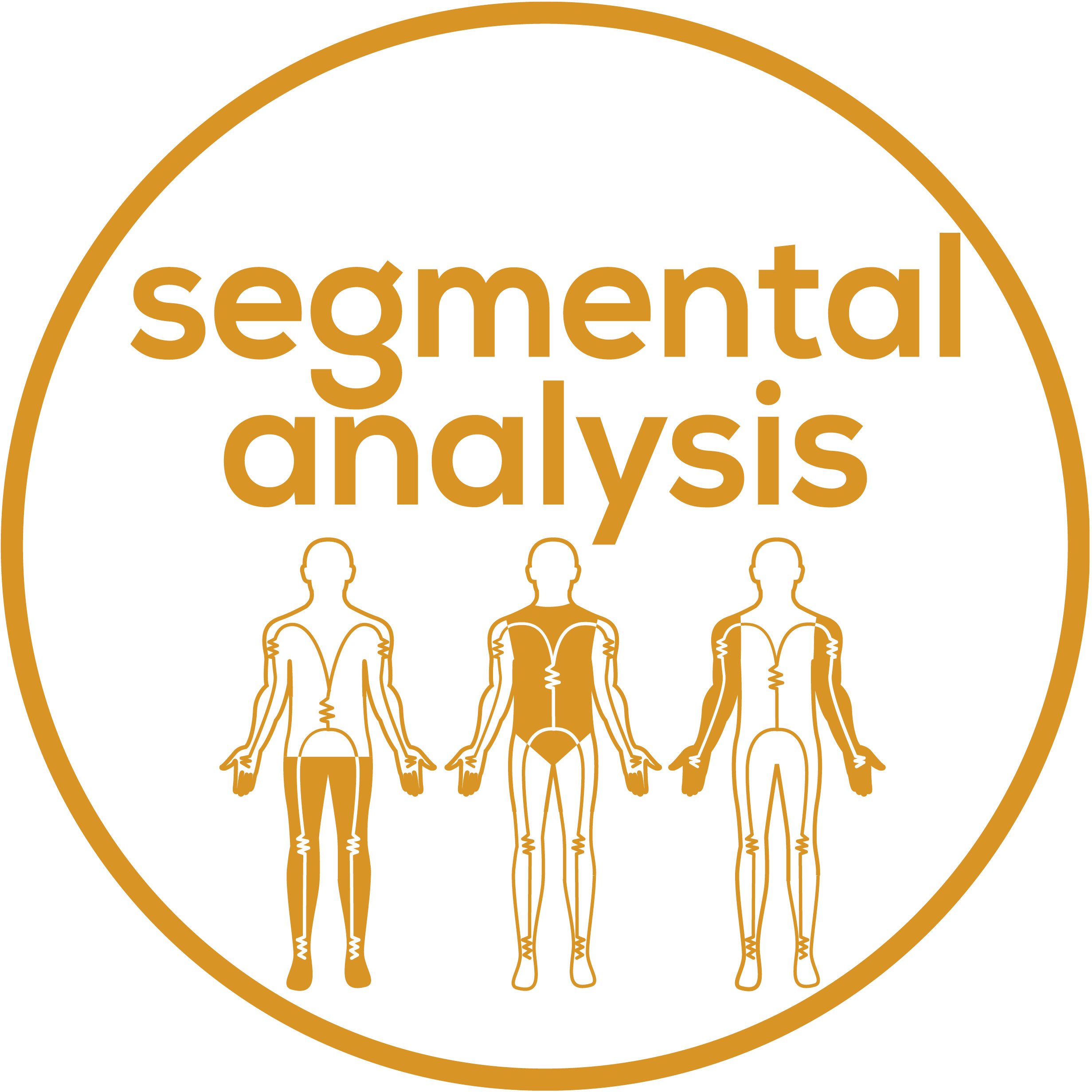 Segmental analysis for precise monitoring &ndash; even of individual areas of the body
